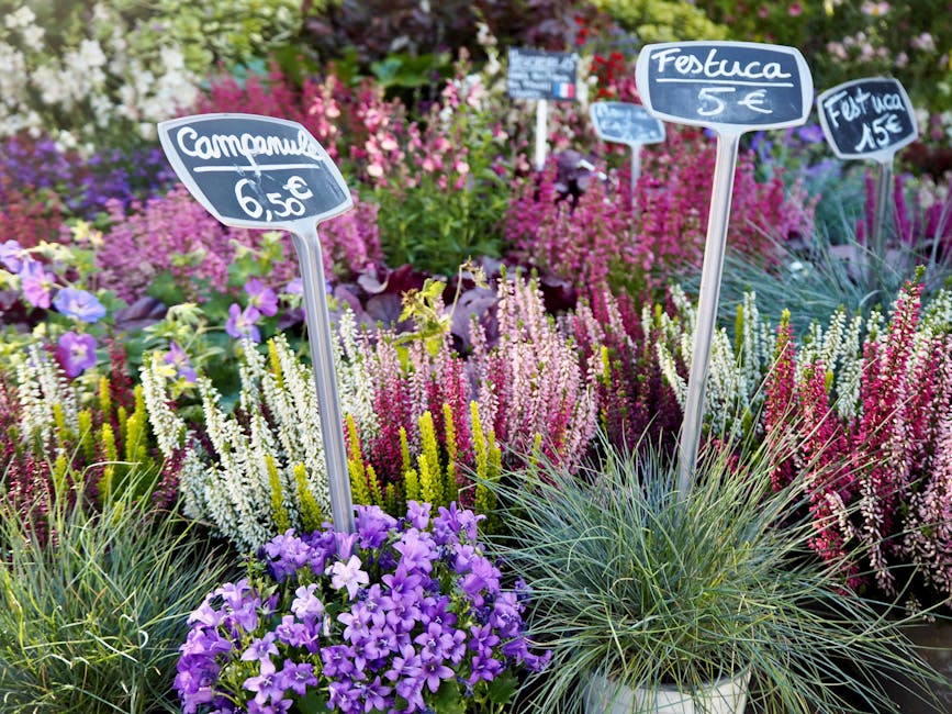 A vibrant floral display featuring a variety of flowering plants, including purple petunias at the base, surrounded by tall, spiky grasses. Behind them, a dense arrangement of blooming heathers in sha